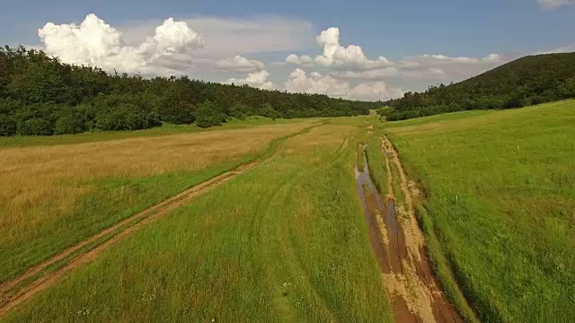 绿色田野中的小路视频素材