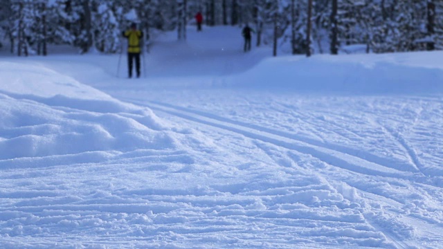 冬季森林里的滑雪道视频素材