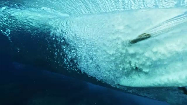 水下冲浪视频素材