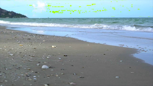 海滩与壳牌视频素材