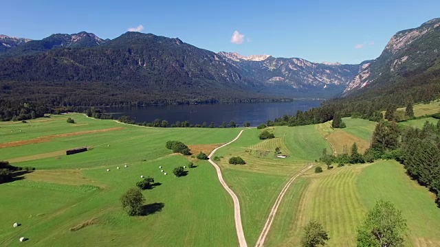 清晨，在令人惊叹的博欣吉湖山谷上空飞行。绿色的山丘和通往朱利安阿尔卑斯的斯达拉·富兹纳村的道路。特里格拉夫国家公园，斯洛文尼亚。视频素材