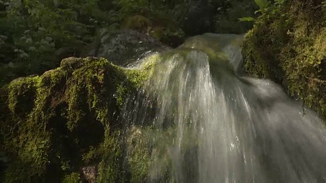 在阳光充足的森林里，山间的河流和瀑布倾泻在长满苔藓的岩石上视频素材