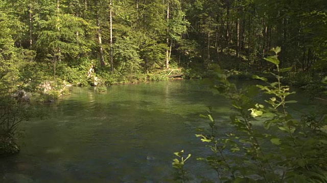 在阳光明媚的春天森林里，河流流入美丽晶莹的山湖视频素材