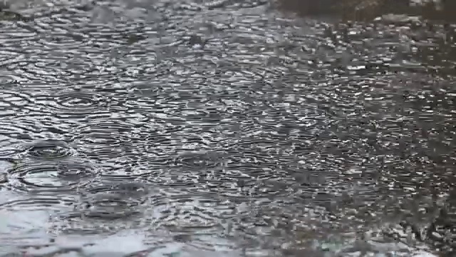 近距离观察:雨滴在水坑表面形成的惊人的圆形图案视频素材