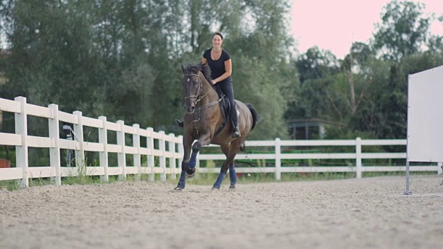 DOF:可爱的老狗追赶女孩骑着美丽的黑色海湾种马视频素材