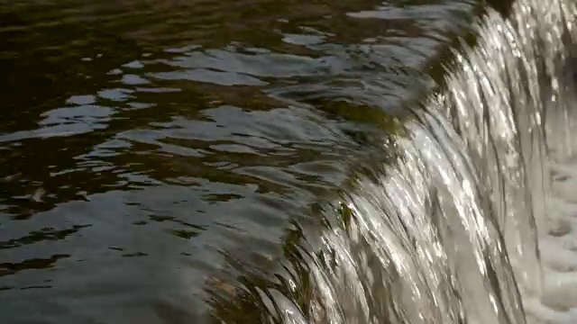 流动的河水特写视频素材