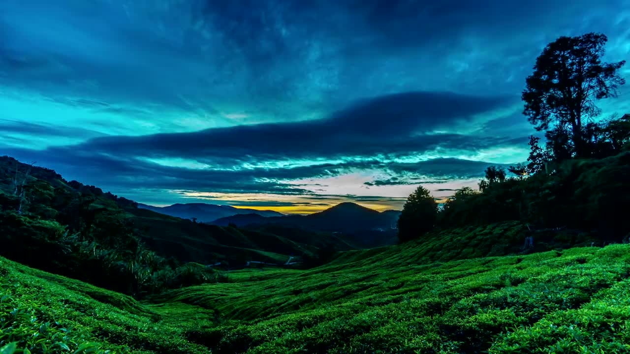 卡梅隆高地绿茶农场山的日出镜头视频素材