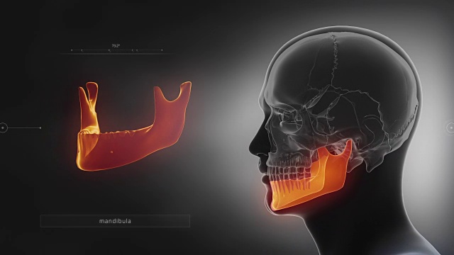 黑色x光颅骨动画-下颌骨或下颌骨视频素材