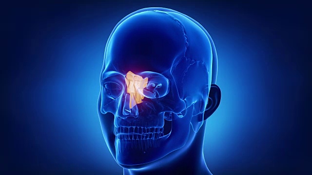 蓝色x光颅骨动画-筛骨-筛骨视频素材
