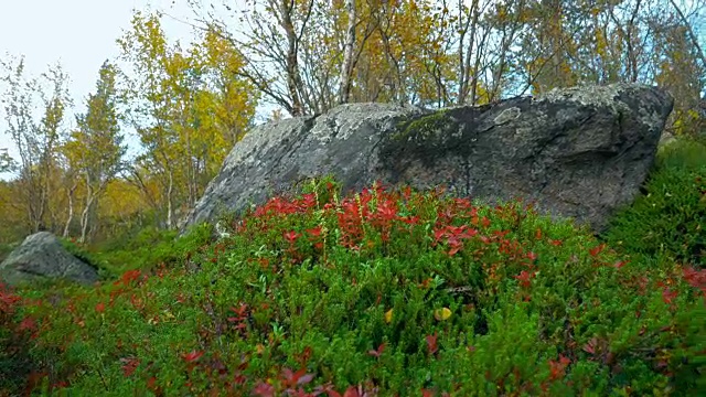 北部自然视频素材