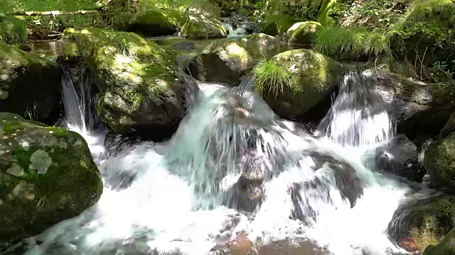 溪流景观视频素材