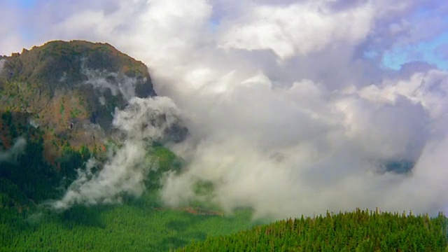 高角度时间流逝云形成和消散在森林覆盖的山顶/奥林匹克半岛，华盛顿视频素材