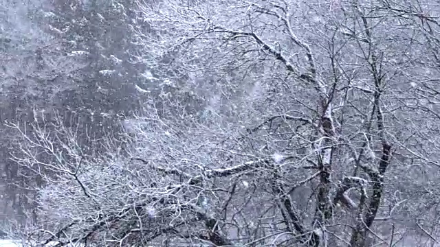 空中慢镜头:在美丽的白色荒野中，大雪肆虐视频素材