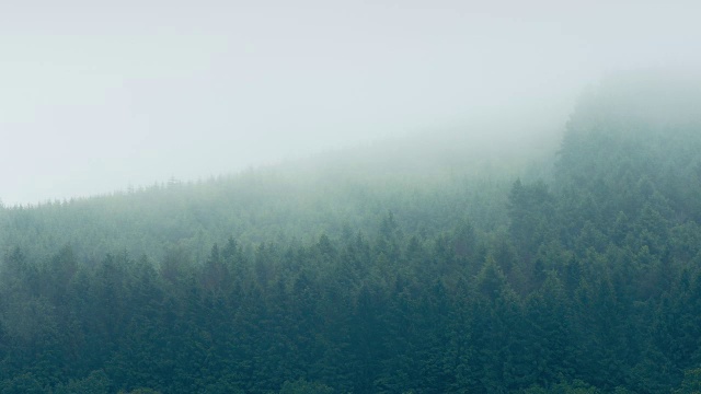 薄雾飘过山林视频素材