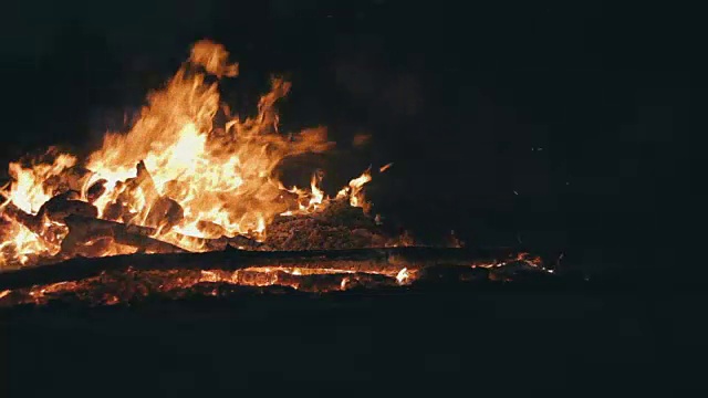 篝火的树枝在夜晚燃烧在森林里视频素材