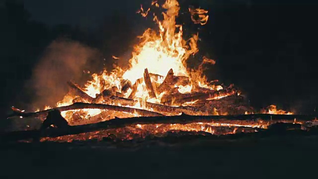 篝火的树枝在夜晚燃烧在森林里视频素材