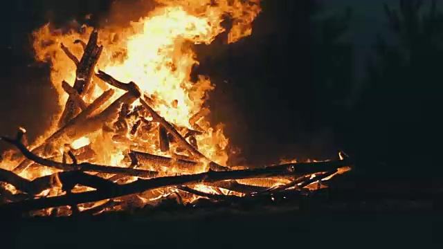 在森林里，树枝上的篝火在夜晚燃烧视频素材