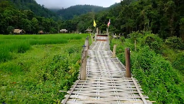 在泰国湄宏松班潘博克派的一片玉米地上的竹桥。视频下载