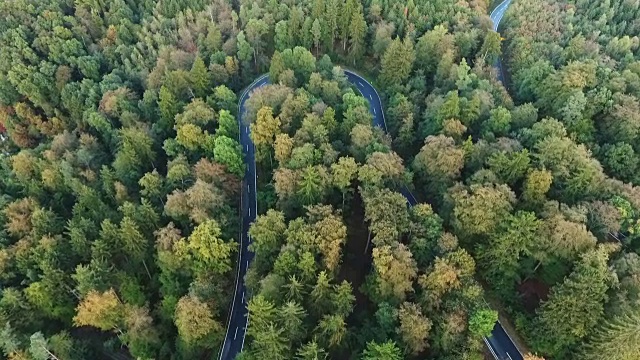 道路在森林里转弯视频素材