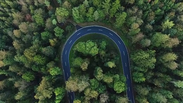 道路在森林里转弯视频素材