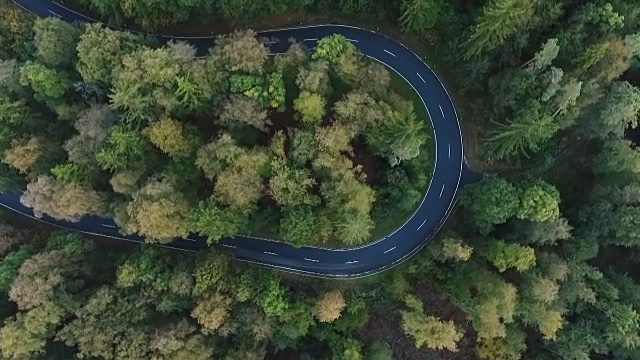 道路在森林里转弯视频素材