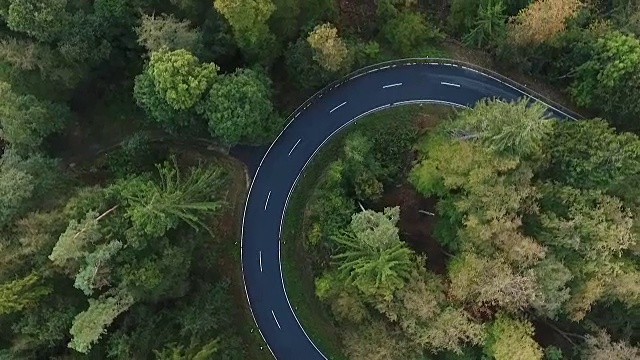 道路在森林里转弯视频素材