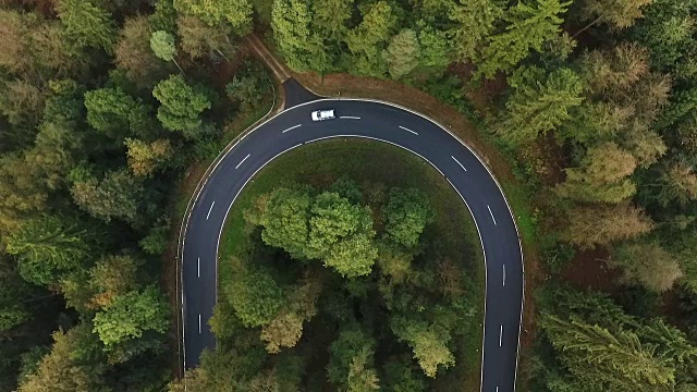 道路在森林里转弯视频素材