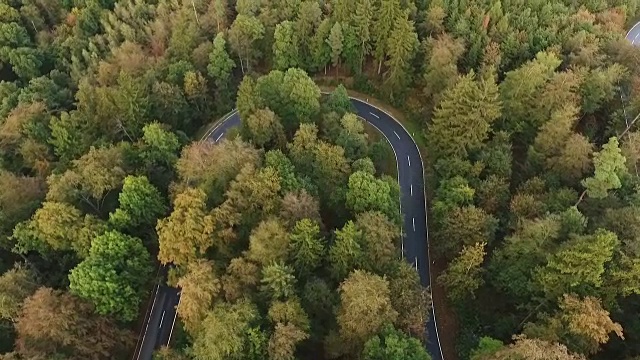 道路在森林里转弯视频素材