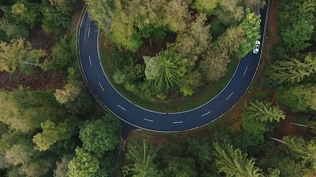 道路在森林里转弯视频素材