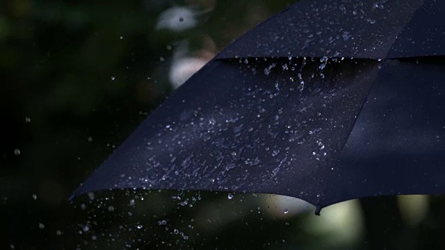 雨点打在伞上的慢动作视频素材