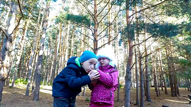 金发男孩和戴眼镜的女孩在操场上吹泡泡。孩子们很有趣。他们开心地笑着。视频素材