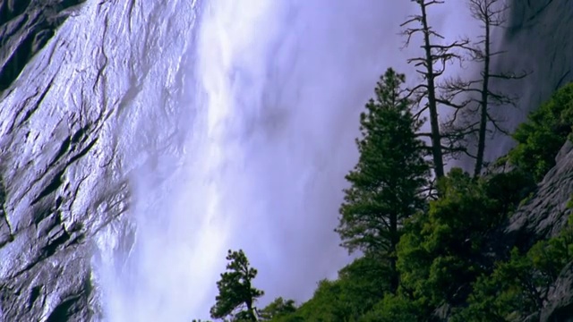 近距离的水和雾从瀑布落下的树木在前景/约塞米蒂国家公园，加利福尼亚州视频素材