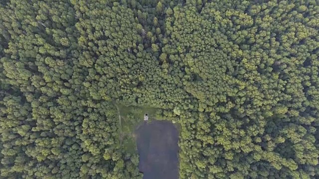 鸟瞰图。飞过森林视频素材