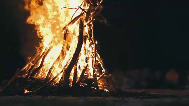 在森林里，树枝上的篝火在夜晚燃烧视频素材