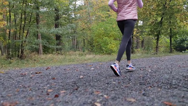 女人跑公园年轻的活跃的健身女跑步者锻炼户外运动女孩慢跑早晨秋天森林视频素材