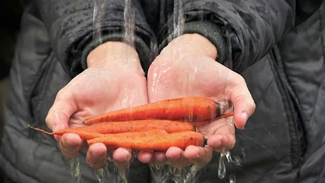 水在女人手中的胡萝卜上流动视频素材