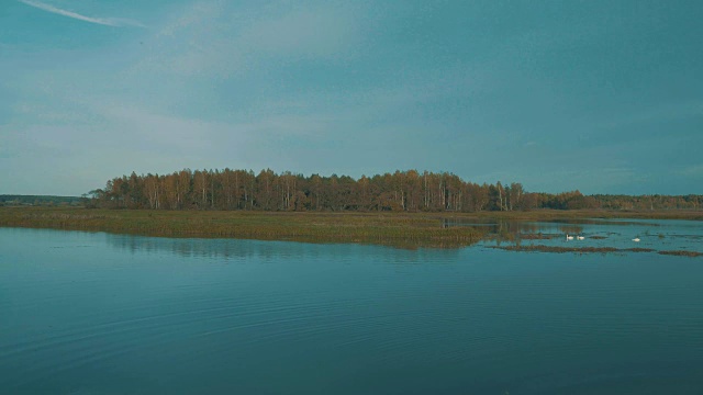 池塘上的秋景。宁静和平衡。秋天的颜色。视频素材