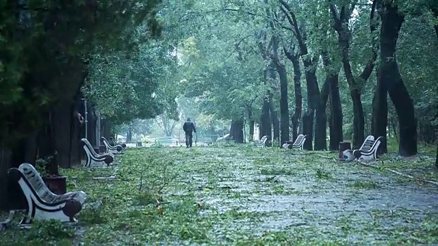 在暴风雨危险的天气下，一个人在公园里散步视频素材