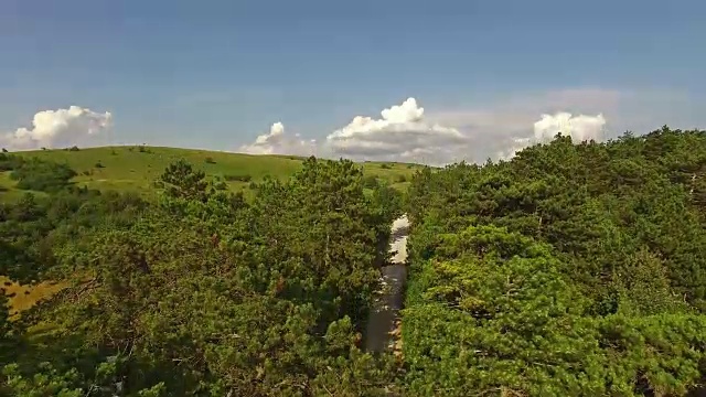 鸟瞰图美丽的草地景观与树木视频素材