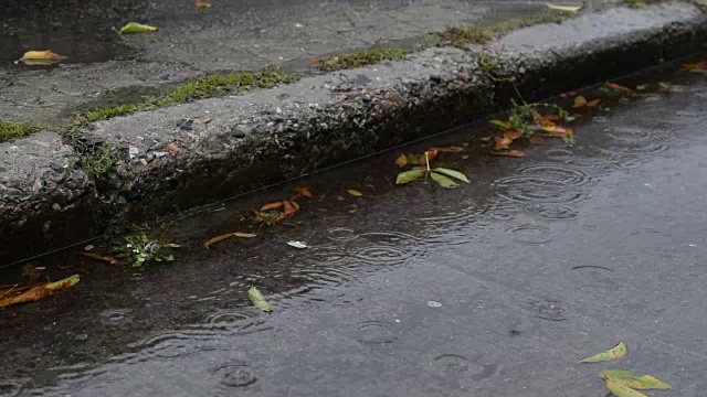 雨在秋天。雨点落在水泥人行道上视频素材