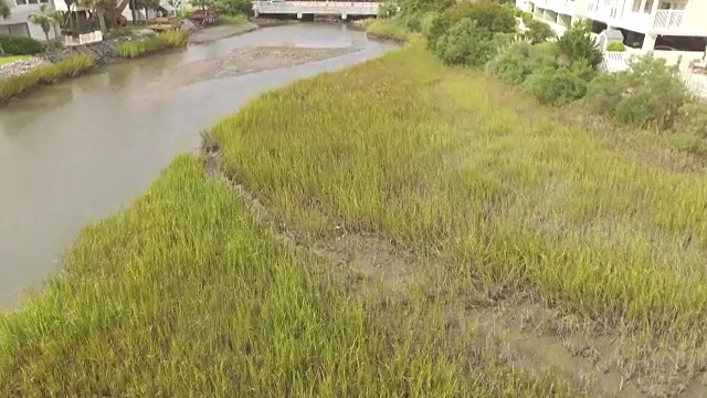 空中飞过北桃金娘海滩的潮汐沼泽视频下载