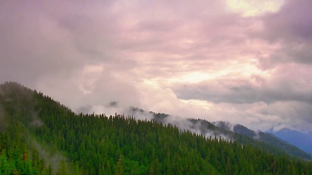 中等拍摄的时间流逝云在树木覆盖的山脉上/奥林匹克半岛，华盛顿视频素材