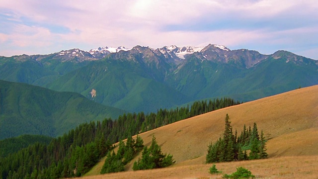 宽镜头的时间推移云和阴影滚动在山脉与树木+领域前景/奥林匹克半岛，华盛顿视频素材