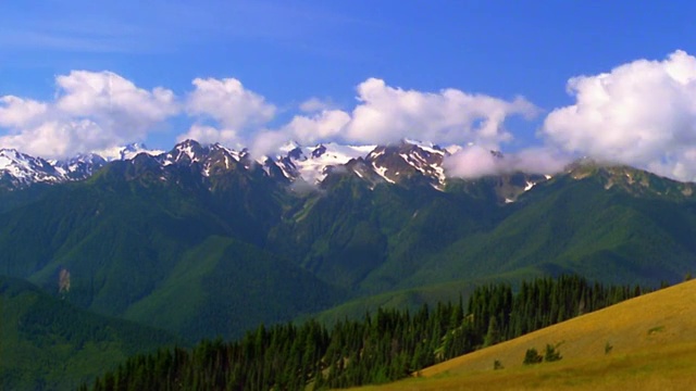 宽镜头延时云形成在山谷与森林和丘陵的前景/奥林匹克山，华盛顿视频素材