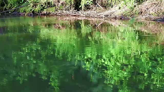 一条河的溪流视频下载