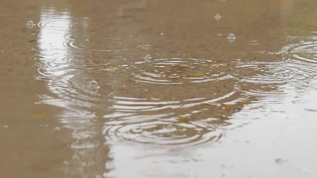 雨滴落在水坑上产生气泡视频素材