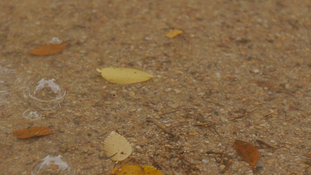 雨滴落在水坑上，产生气泡浮在水面上视频素材