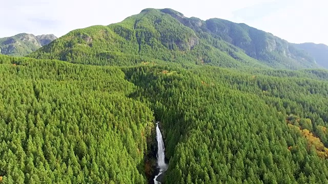 雄伟的瀑布在森林山地景观深处视频素材