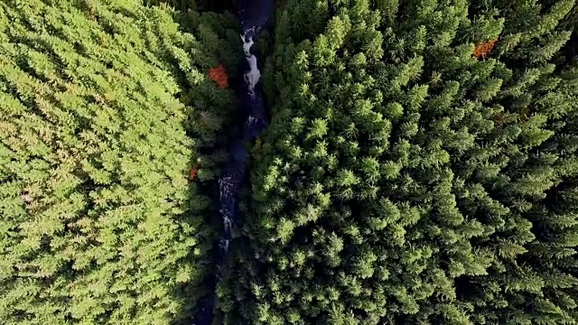 空中俯瞰华莱士瀑布华盛顿州林地视频素材