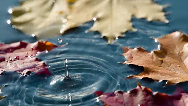 雨后水坑里的太阳视频素材